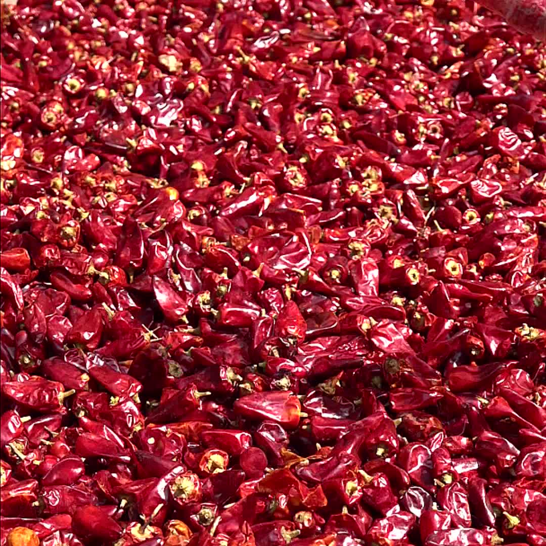 【爱蜀味子弹头辣椒】爱蜀味 四川地道中辣超香子弹头辣椒90g 干辣椒 