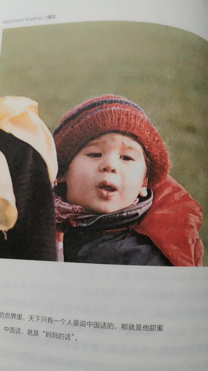 亲爱的安德烈 两代共读的36封家书 龙应台 安德烈 摘要书评试读 京东图书