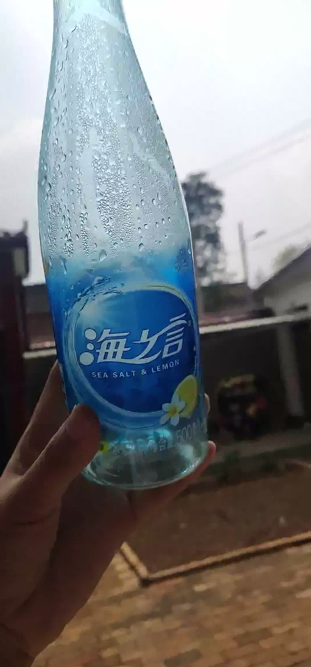 【统一海之言 黑加仑口味 500ml*15瓶/箱】统一 海之言 海盐 蓝莓