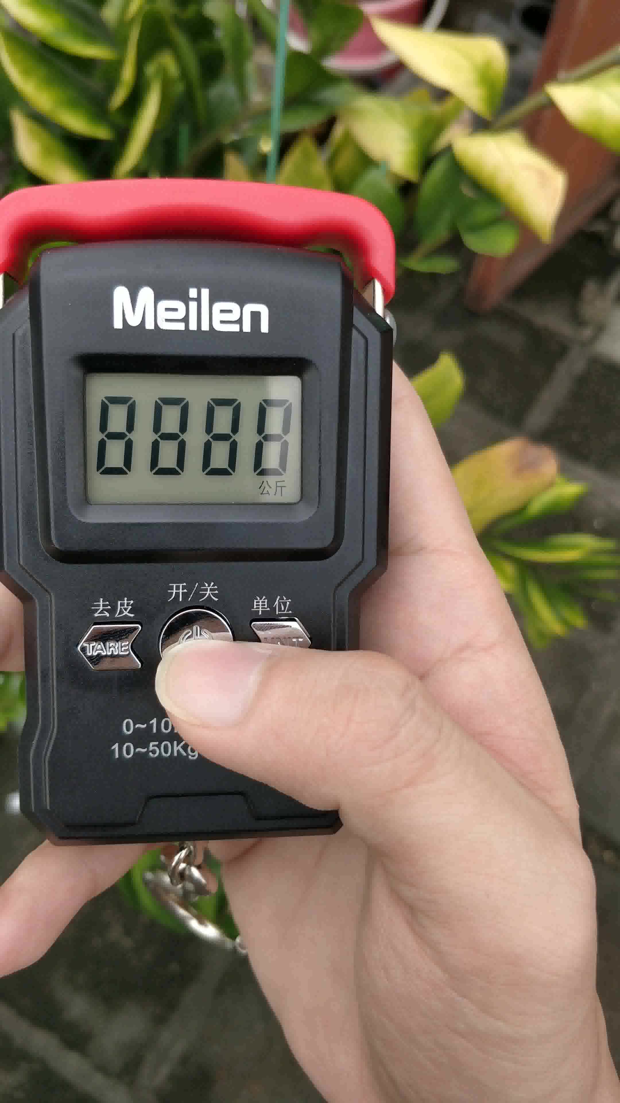 meilen美乐手提秤便携式弹簧秤电子秤迷你快递称吊钩秤厨房家用小挂称