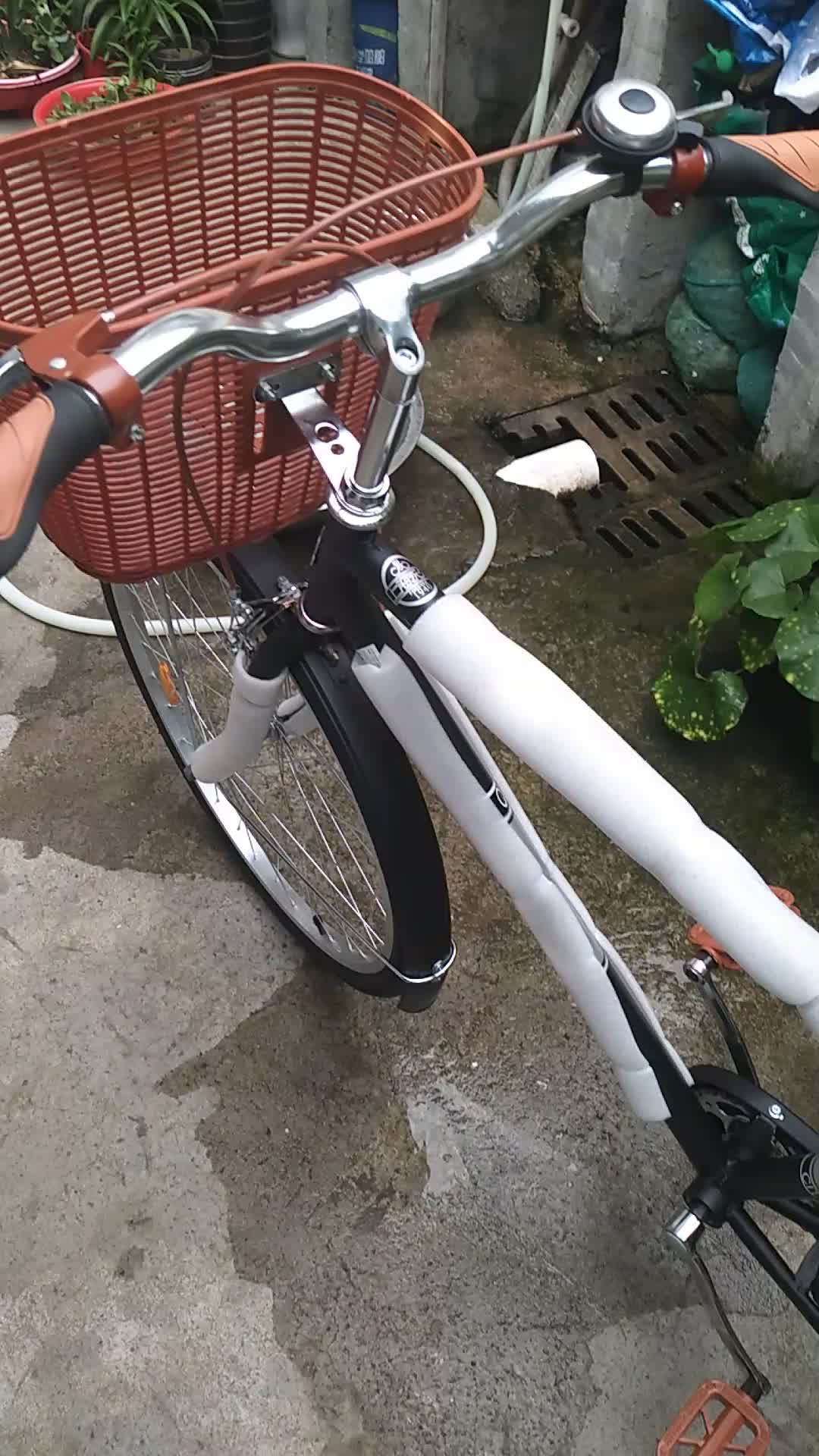 永久玛斯特男款自行车