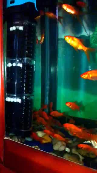 柏卡乐鱼缸过滤器增氧泵三合一循环水泵内置潜水冲浪过滤净水系统超静音小型10w2节 基础吸便套装 图片价格品牌报价 京东