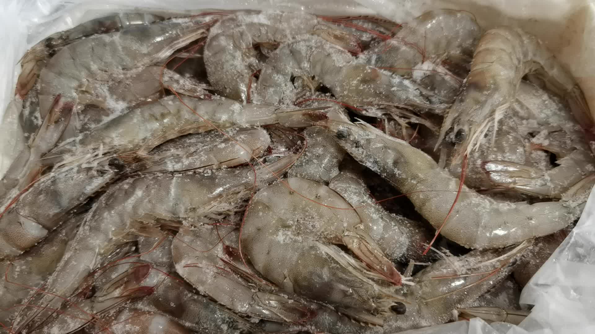 顺丰速运4斤大虾新鲜鲜活新鲜冷冻海鲜深海虾青虾整箱惟纳德4斤装现捕