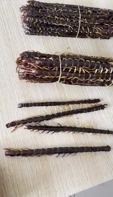 康裕尊 蜈蚣肉无竹签蜈蚣干蜈公皮大整条不碎可磨粉蝎子水蛭 蜈蚣14