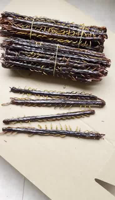 康裕尊 蜈蚣肉无竹签蜈蚣干蜈公皮大整条不碎可磨粉蝎子水蛭 蜈蚣14