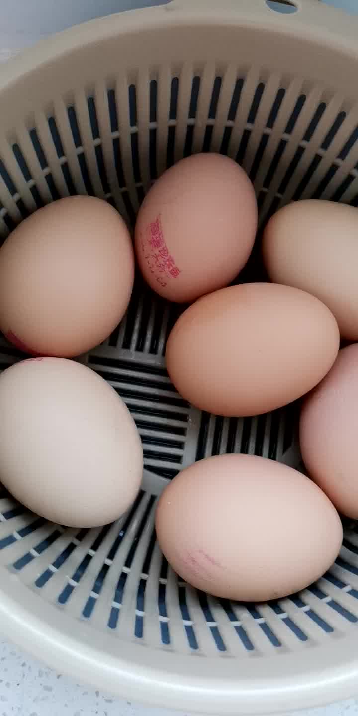 无抗富硒鸡蛋无沙门氏菌新鲜日料寿喜锅可生食无腥味鸡蛋10枚珍珠棉装