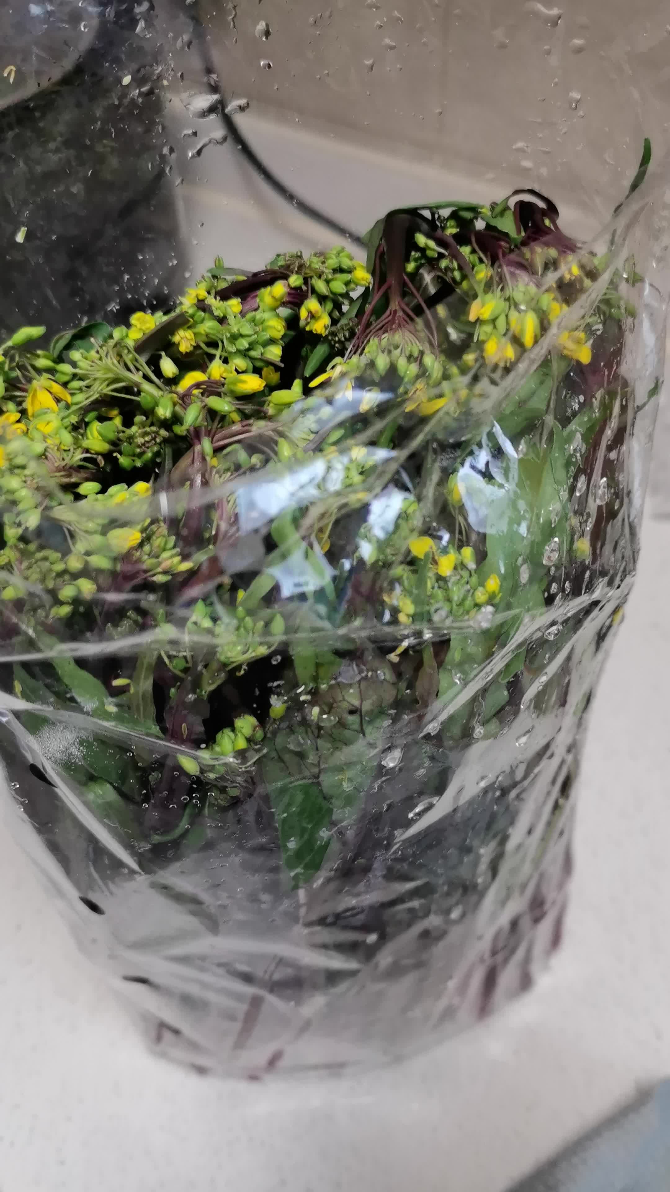 顺丰红菜苔5斤新鲜湖北紫蔬菜菜薹农家自种1500g青苔顺丰