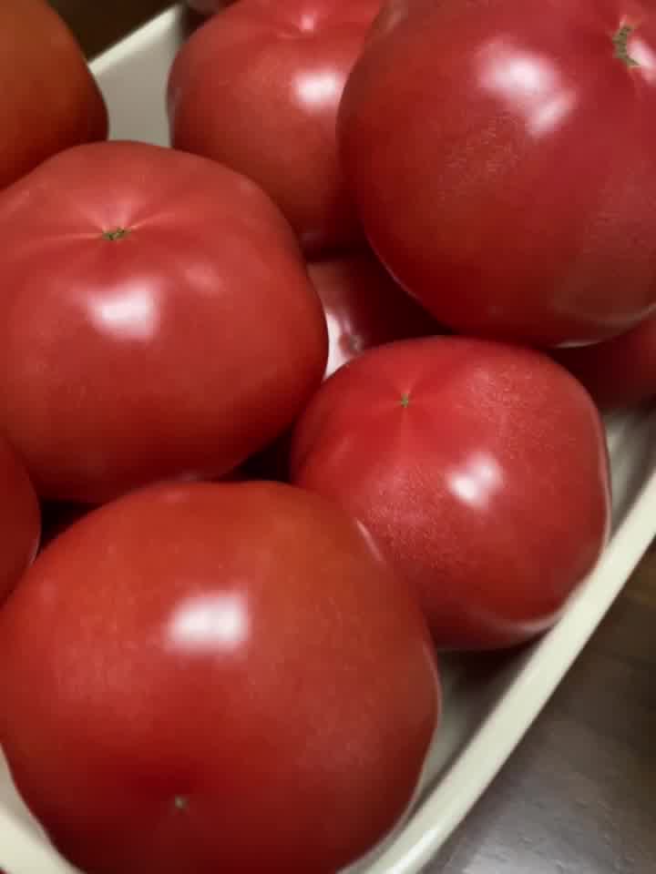 5kg 生吃西红柿5斤自然熟 新鲜水果蔬菜 桃太郎番茄 5斤【图片 价格