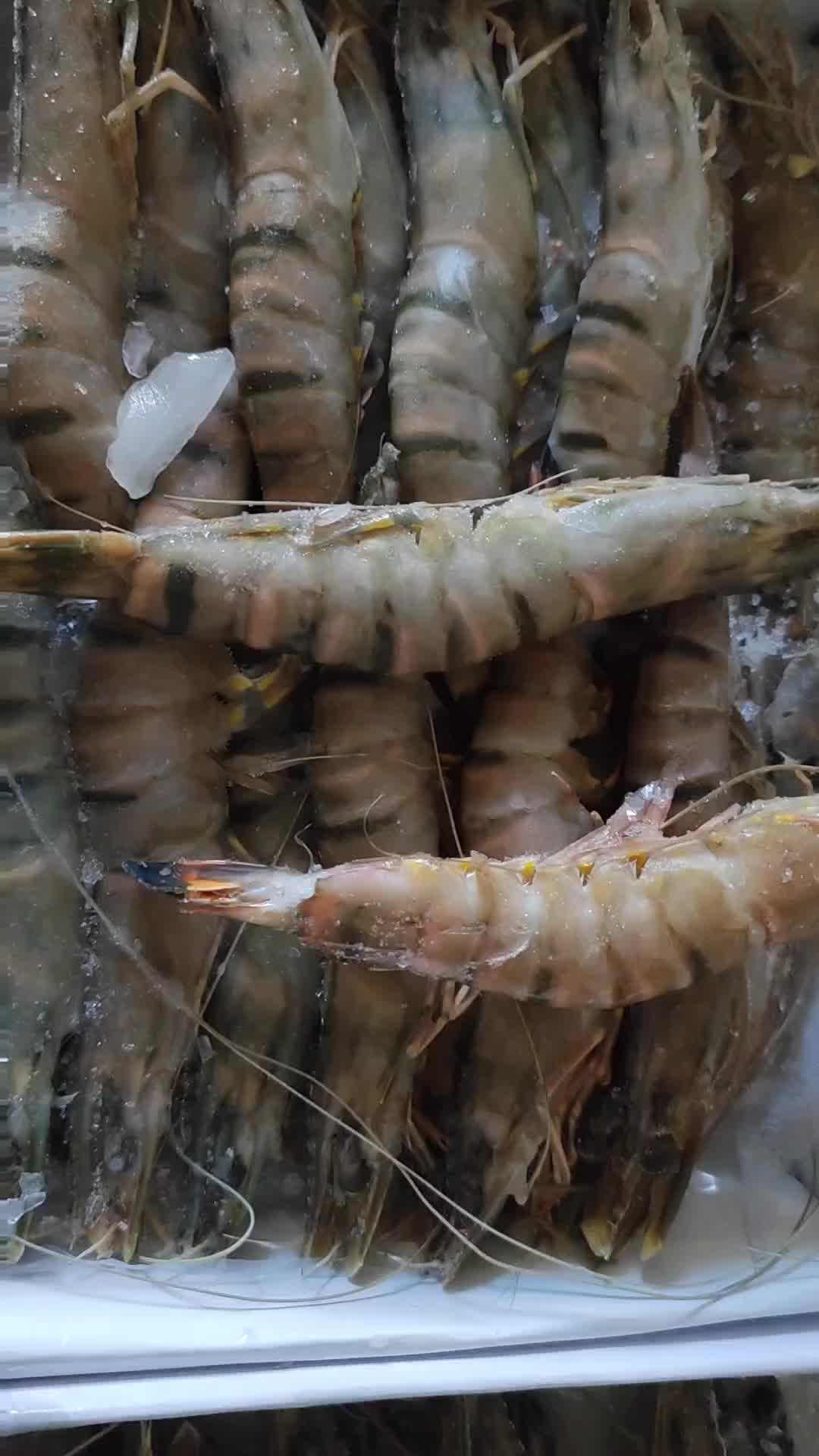 鱻谣 大号新鲜活冻黑虎虾净虾约650-700g/约16-24只 可剥虾仁生鲜虾类