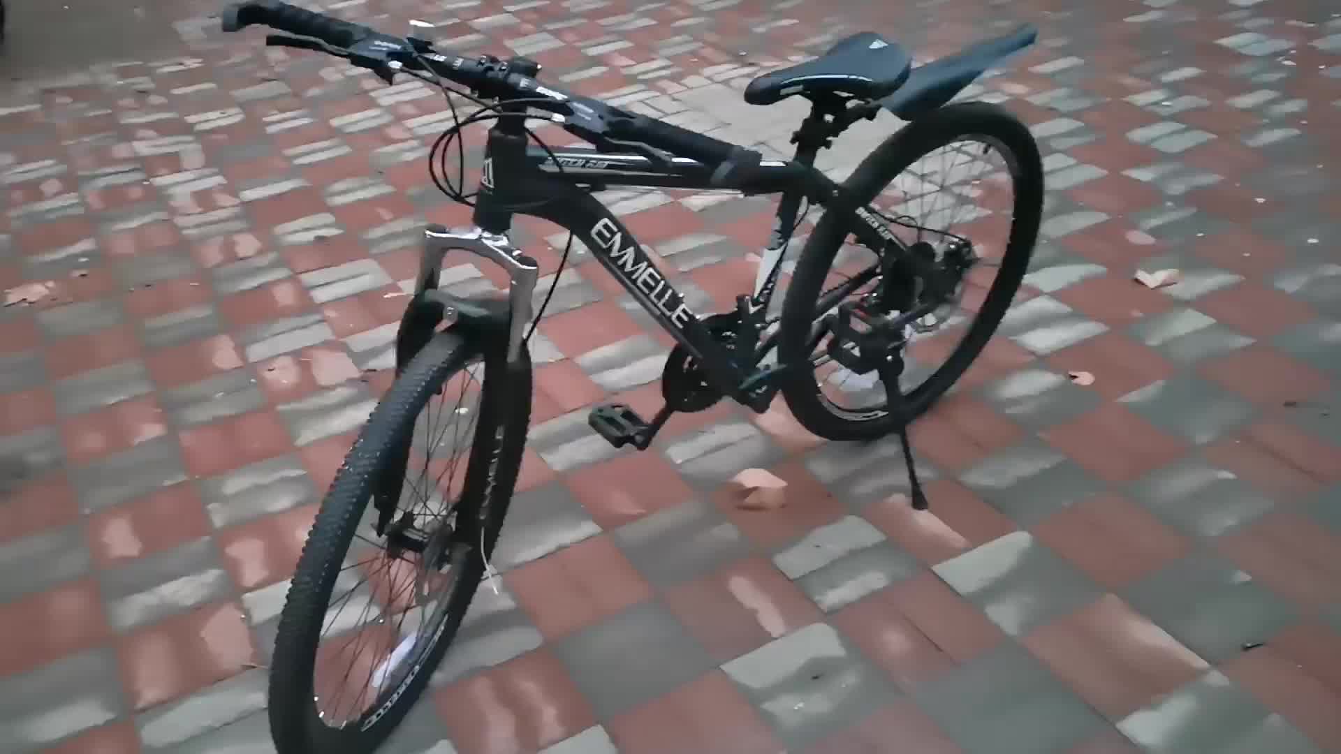 天津阿米尼自行车图片