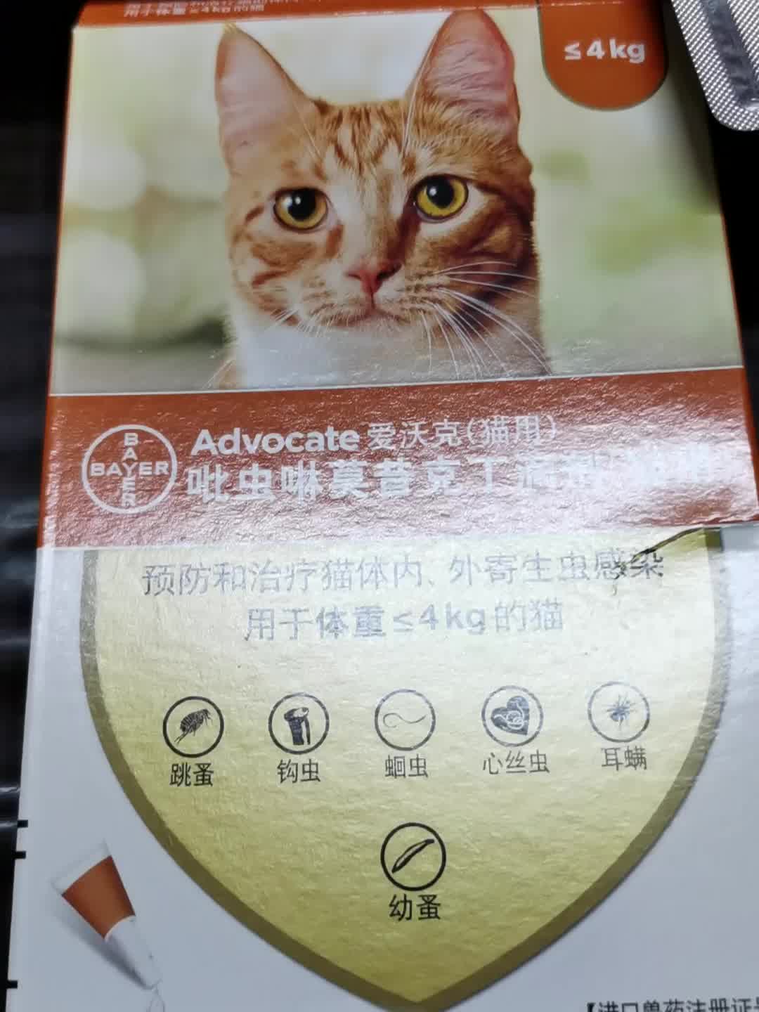 拜耳爱沃克猫体内外同驱虫滴剂宠物猫咪用内外一体驱虫药小猫幼猫成猫
