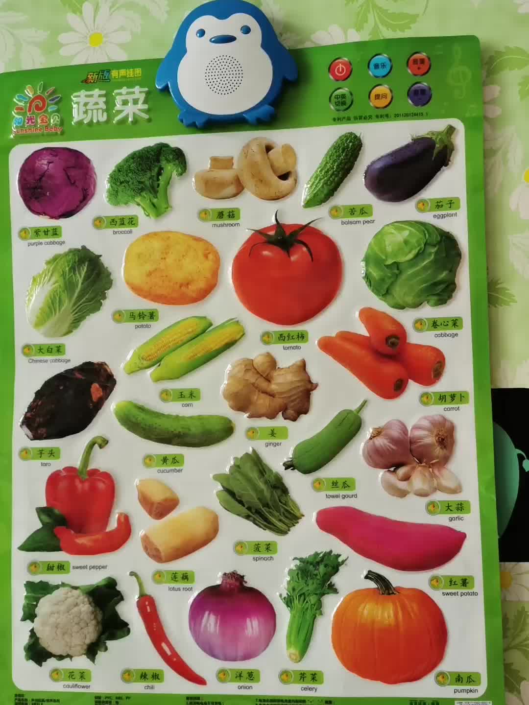 阳光宝贝新版有声挂图水果