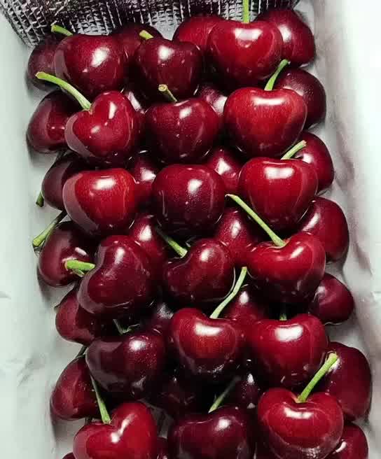 morning kordia 大连美早樱桃礼盒装 jj级 2斤单经28-30mm新鲜水果