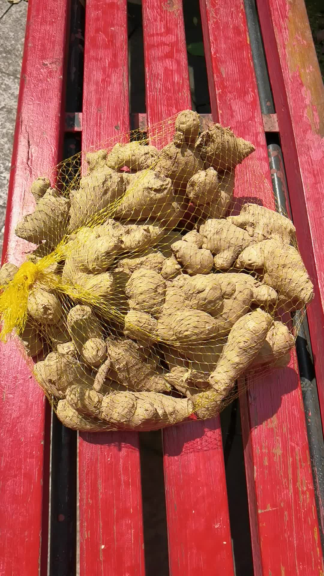 老怀姜亨泰丰源小黄姜河南焦作姜月子姜新鲜蔬菜生淮姜糖膏原料姜火锅