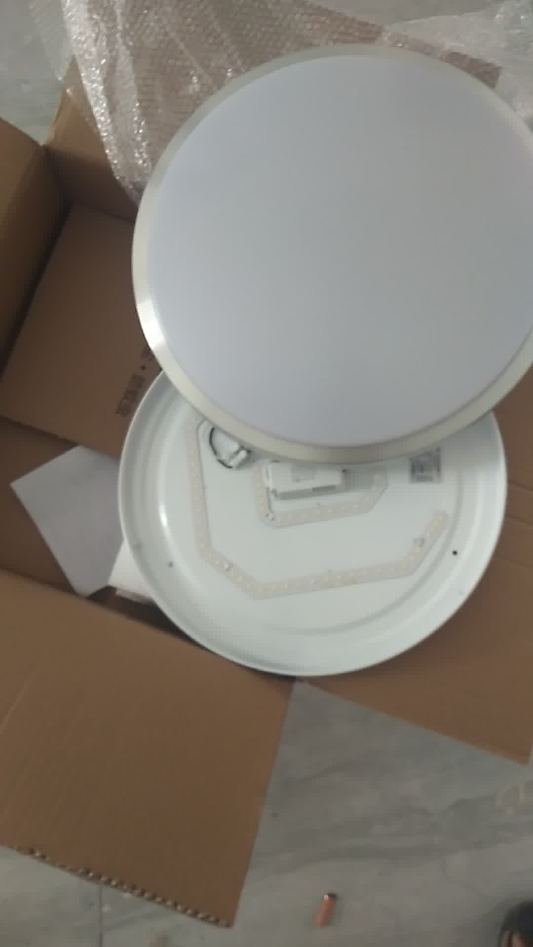 雷雷智光吸顶灯单铝40cm声光控24瓦