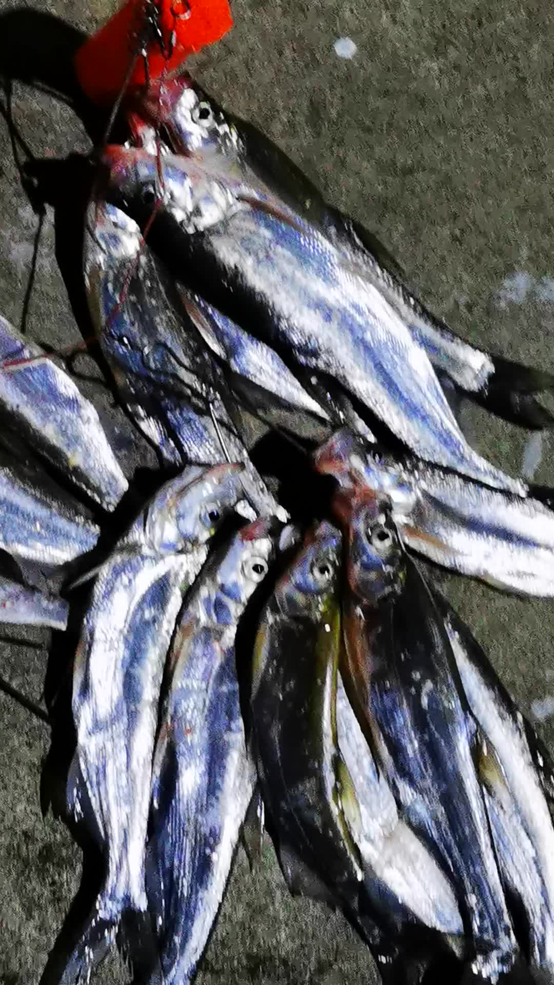 翘嘴串钩白条仿生钓组路亚鱼皮套装亮片钩海钓饵串钓防缠绕虾皮串钩钓