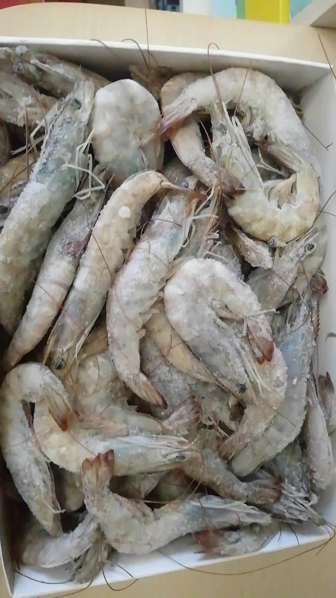 【万景北海白虾】国产白虾 万景北海鲜冻白虾 净重4斤 100-120只 大虾