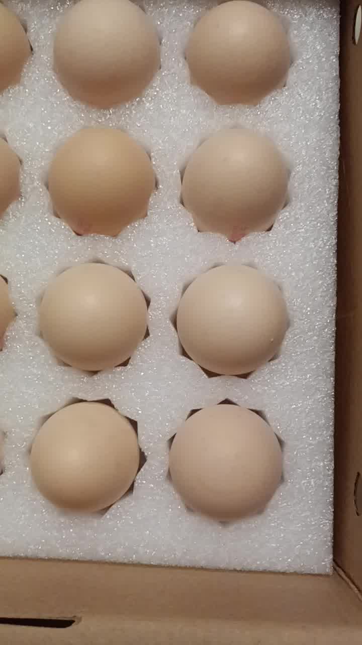 【圣迪乐村鲜鸡蛋】圣迪乐村 安全 营养 美味 老南沟 鲜鸡蛋 20枚