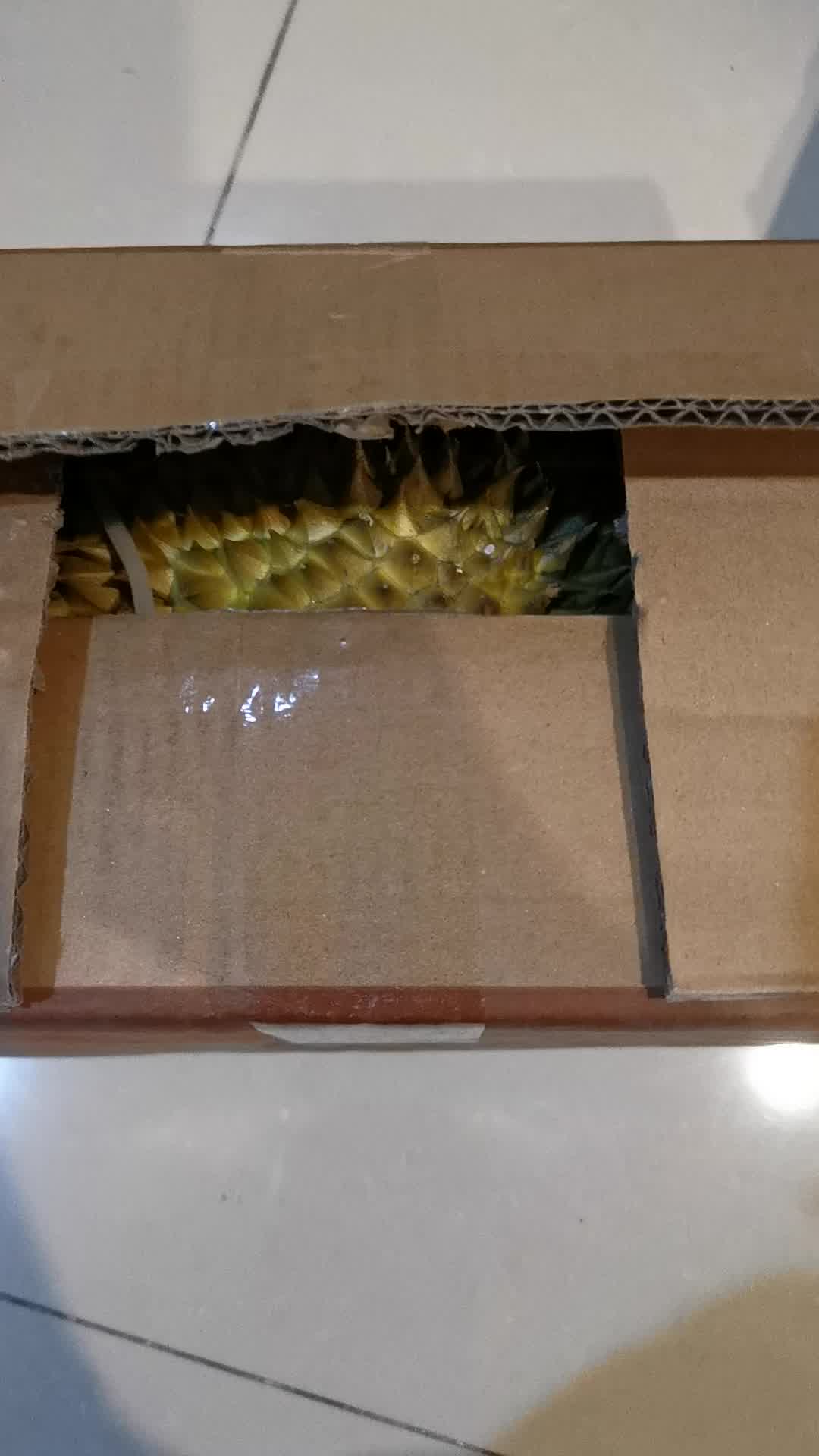 京觅马来西亚液氮猫山王冷冻榴莲原箱装46粒