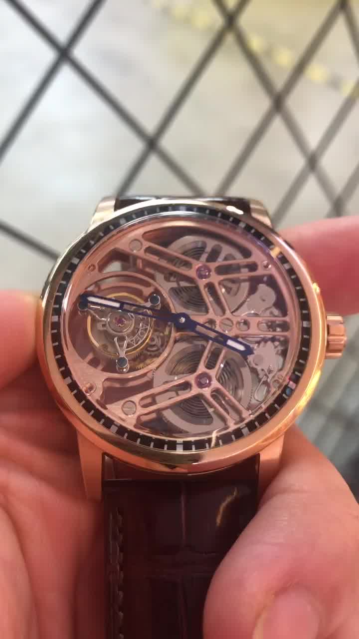 豪法(haofa)陀飞轮手表 男士全景镂空背透机械表 时尚轻奢双发条皮带