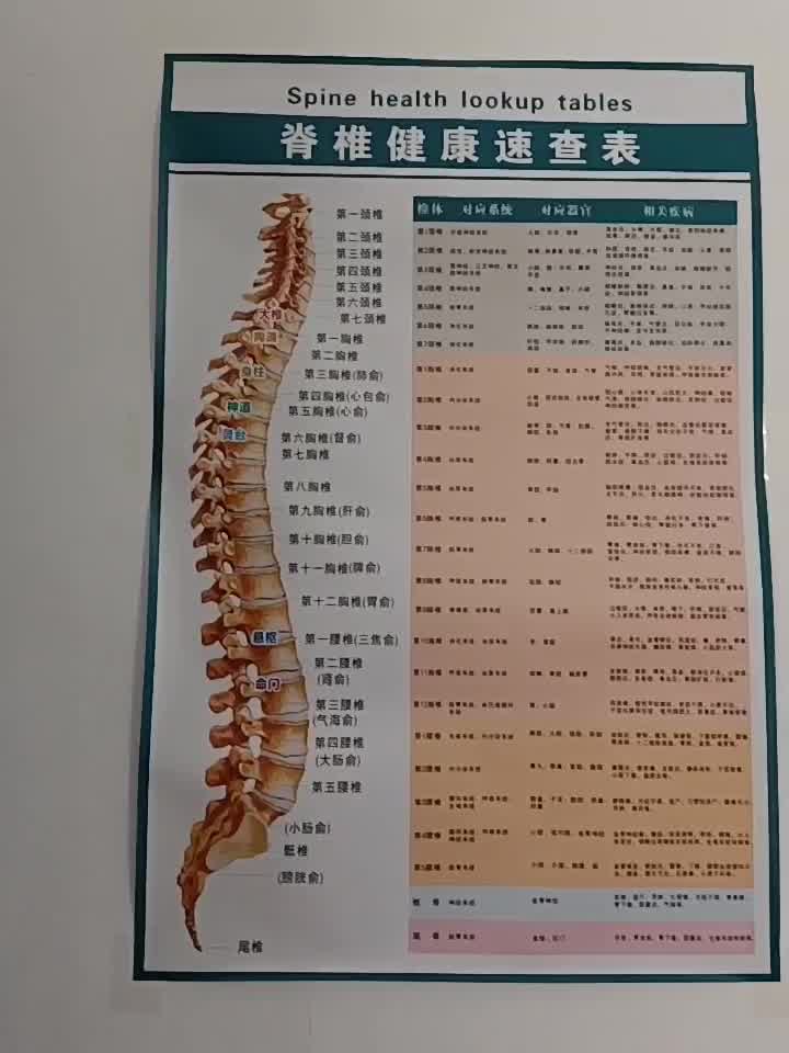 定制产品脊柱相关疾病脊椎全息图健康速查表美容院装饰画中医馆