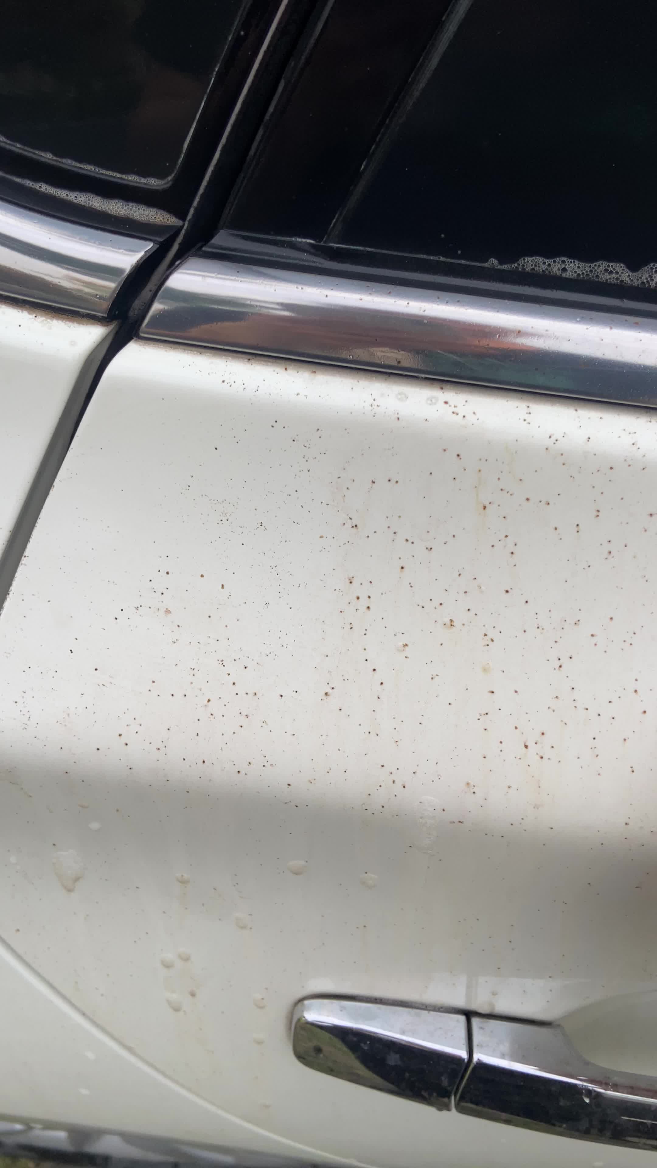 跃能虫胶树粘去除剂汽车清洗剂车漆去污清洁剂除胶剂汽车用品2瓶超值