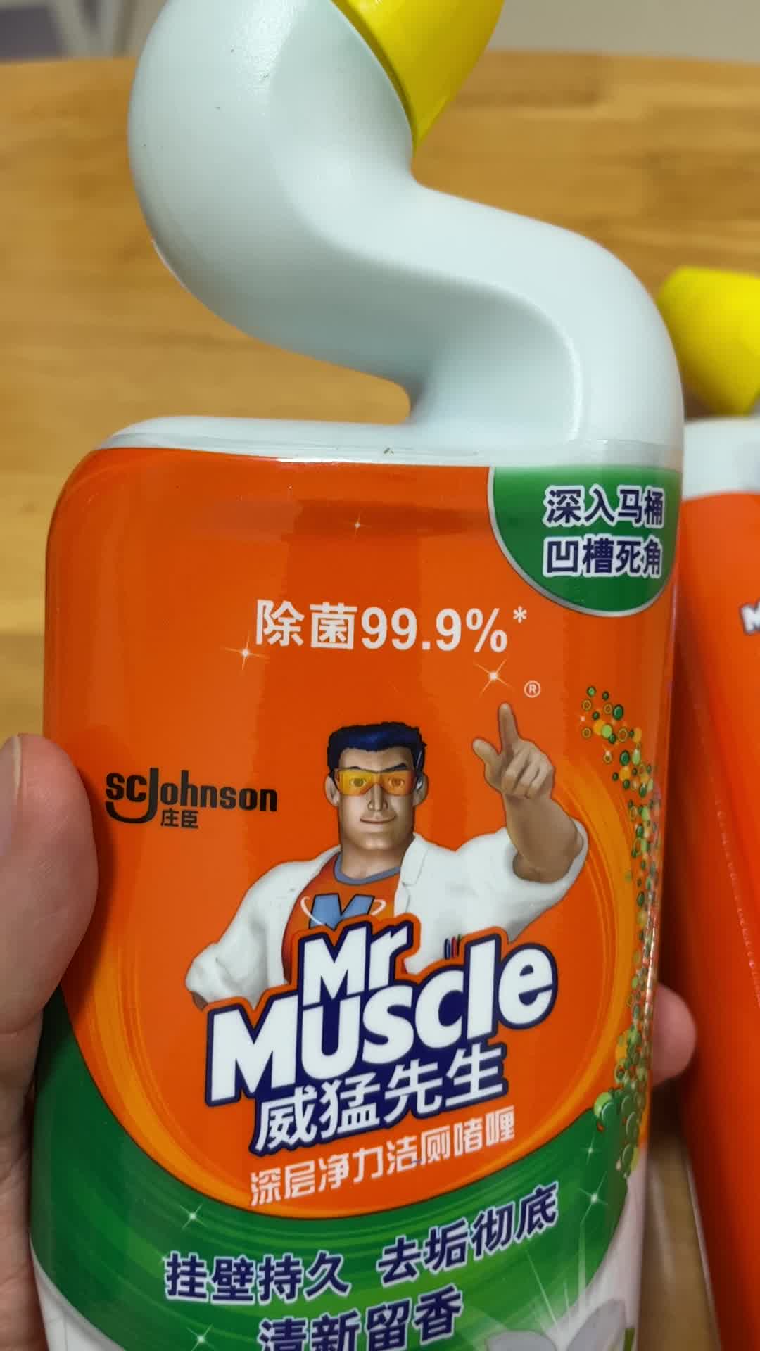 【威猛先生威猛先生 洁厕块 15块装 百草清香】威猛先生(mr muscle)洁