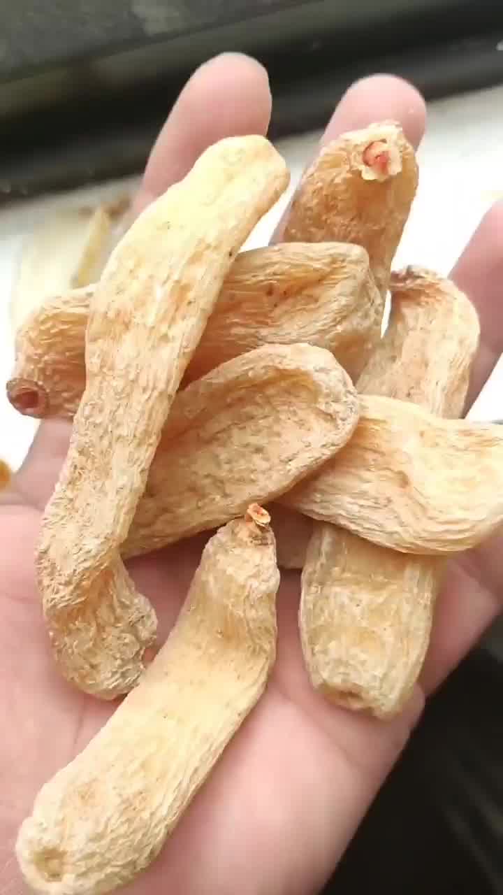君愉一级天麻10个500克礼盒装