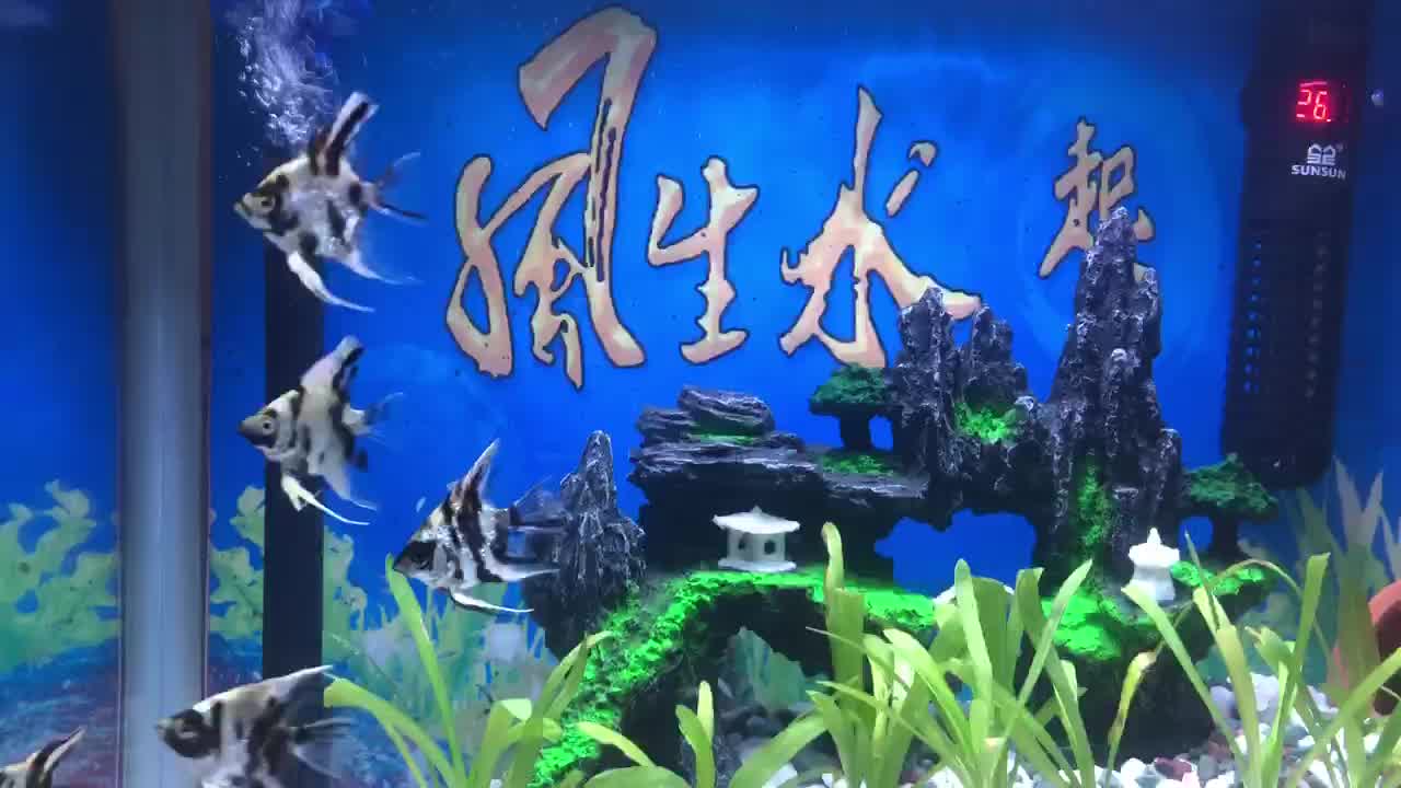 鱼缸背景贴纸画高清图3d立体壁纸造景水族箱背景纸壁画装饰底板5d 150