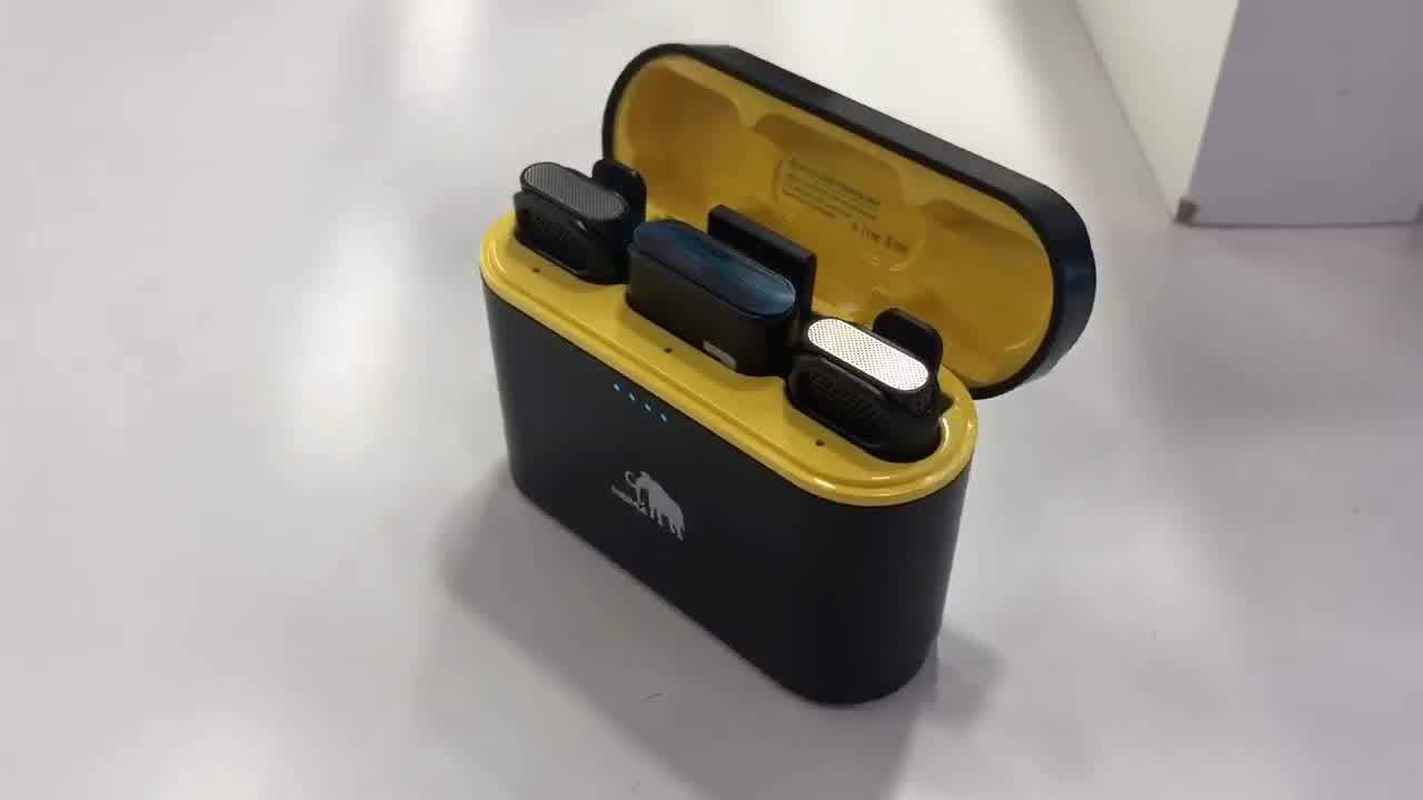 猛玛(moma) 猛犸麦克风larkm1小蜜蜂无线领夹麦克风一拖二户外直播采