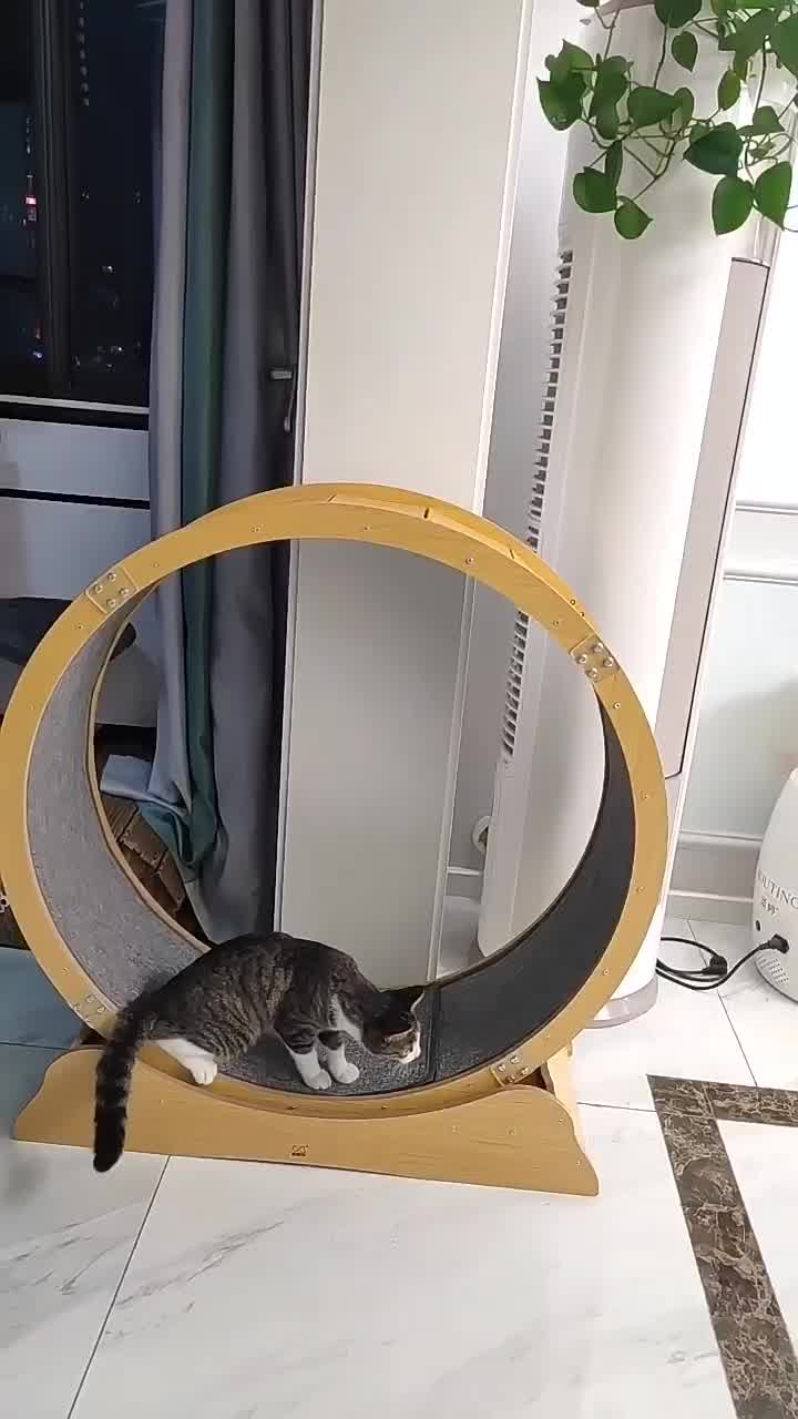 滚轮大型免安装狗狗滚筒跑步机猫爬架跑步轮猫狗玩具猫用爬轮跑步轮