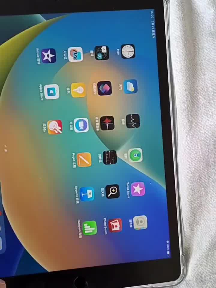 Apple iPad（第9 代）10.2英寸平板电脑2021年款（64GB WLAN版/A13芯片 